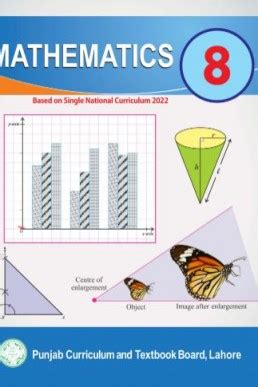 Class 8 Mathematics Solution Punjab Text Board Epub