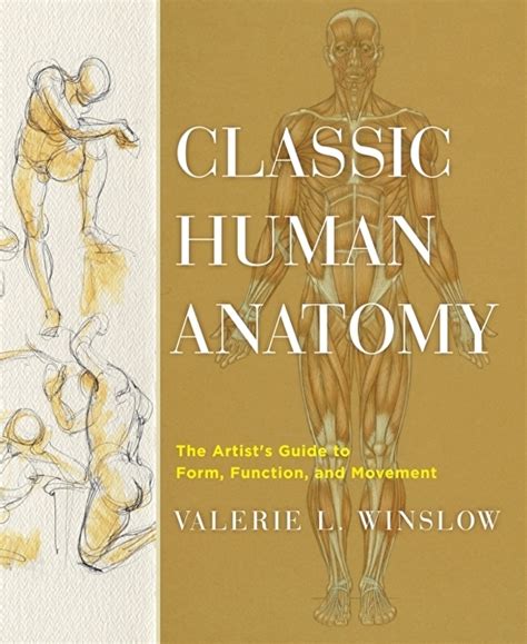 Classic Human Anatomy: The Artist's  Guide to Form Kindle Editon