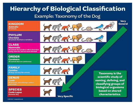 Classification: