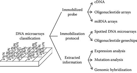 Classification Analysis of DNA Microarray Data Har/Cdr Edition Kindle Editon