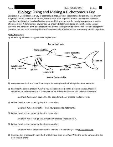 Classification Answers Shark Key Doc