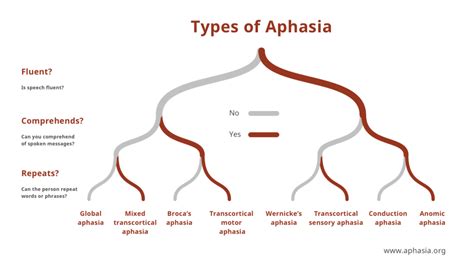 Classification Of Aphasia Chart