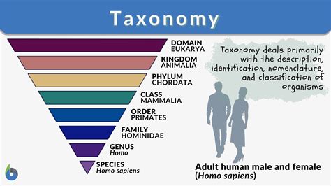 Classification and Taxonomy