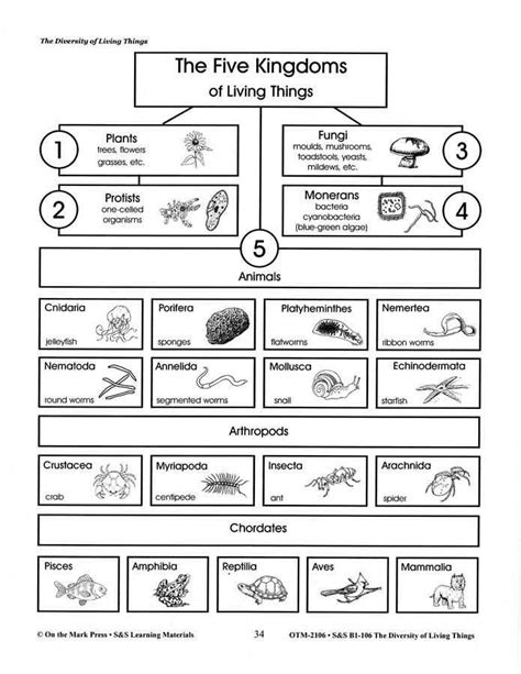 Classifying The Kingdom Of Life Answer Key Kindle Editon