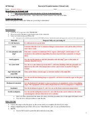 Classzone Bacterial Transfomation Virtual Lab Answer Key PDF