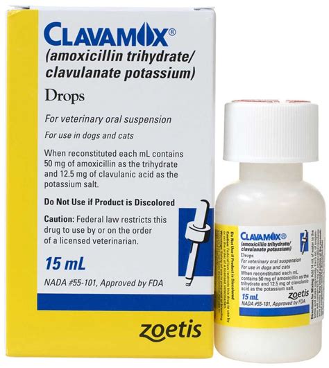 Clavacillin for Cats: A Comprehensive Guide to Treatment, Dosage, and Side Effects