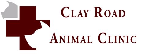 Clay Road Animal Clinic: Your Partner in Pet Care