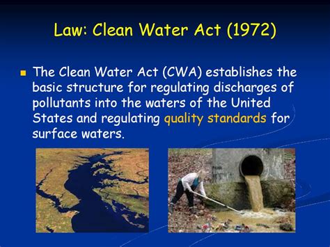 Clean Water Act Intro Activity: Understanding the Importance of Water Quality