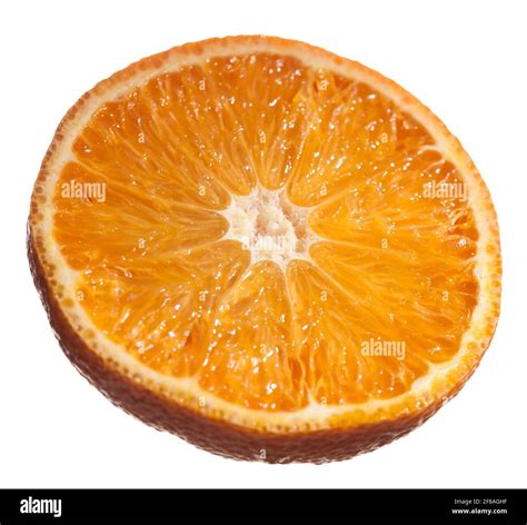 Clementin PDF