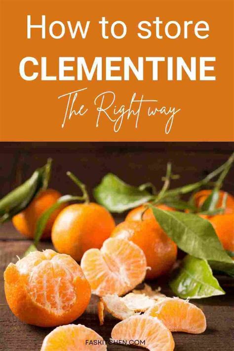 Clementines: A Guide to Selecting, Storing, and Enjoying the Sweet Citrus Treat