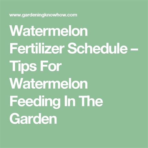 Click-Worthy Watermelon Fertilizer Schedule: Nourishing Your Summer Treat