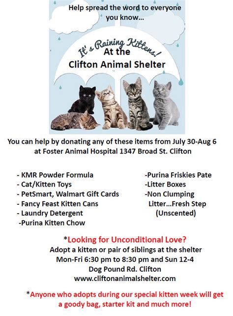 Clifton NJ Animal Shelter: A Comprehensive Guide to Helping Homeless Pets