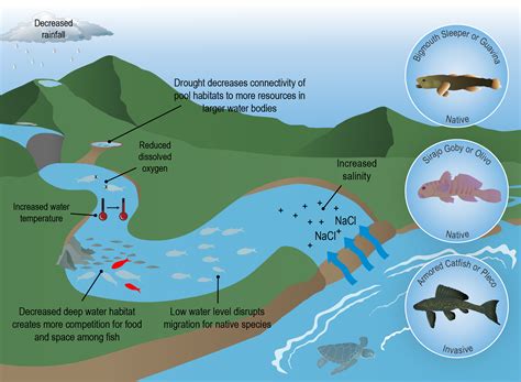 Climate Change Impacts on Freshwater Ecosystems Kindle Editon