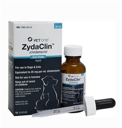 Clindamycin Canine: A Comprehensive Guide to Treatment and Precautions