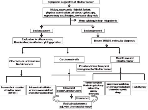 Clinical Management of Bladder Cancer Doc