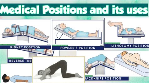 Clinical Positions: