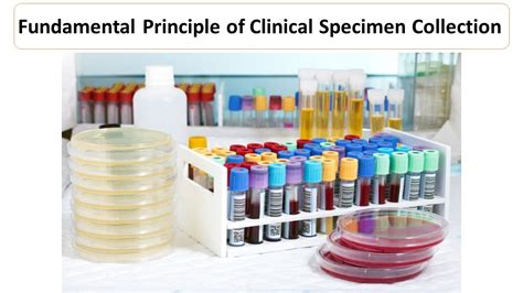 Clinical Specimens Doc