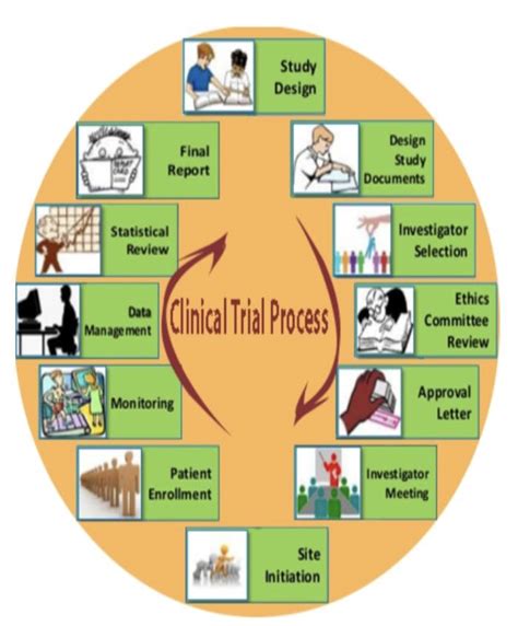 Clinical Trial Lab Processing: A Comprehensive Cheatsheet for Streamlined Efficiency