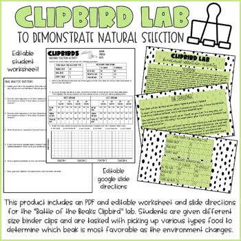 Clipbird Lab Answer Key PDF