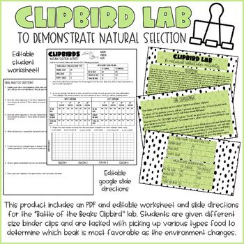 Clipbird Lab Answer Key PDF