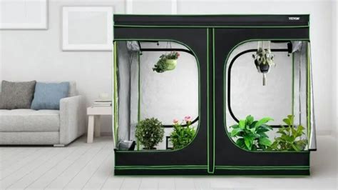 Closet Tent Grow: The Comprehensive Guide to Indoor Gardening Success