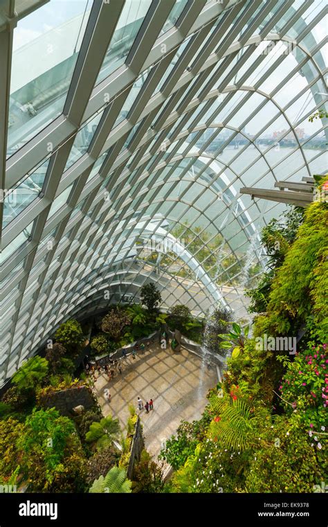 Cloud Forest Conservatory: