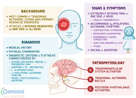 Cluster Headache Syndrome Epub