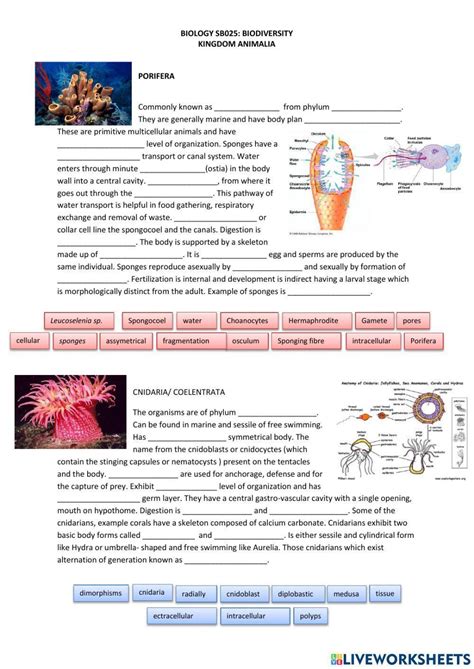 Cnidarians Worksheet Answer Key Doc