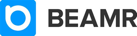 Co-Founding Beamr (2008)