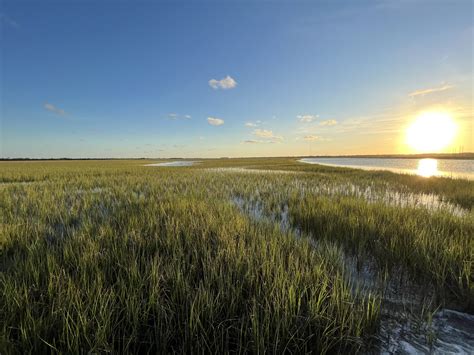 Coastal Conservation: