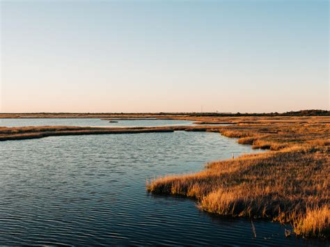 Coastal Plain