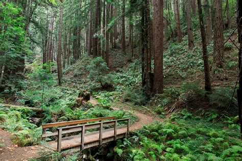 Coastal Trail Half Moon Bay: A 10.1-Mile Adventure