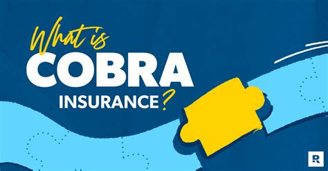 Cobra Insurance Price: A Detailed Breakdown