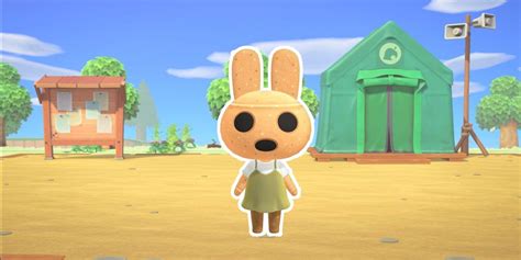 Coco Animal Crossing: Your Ultimate Guide to the Adorable Bunny Icon