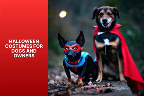 Coco Halloween: A Spooktacular Celebration for Dogs and Their Owners