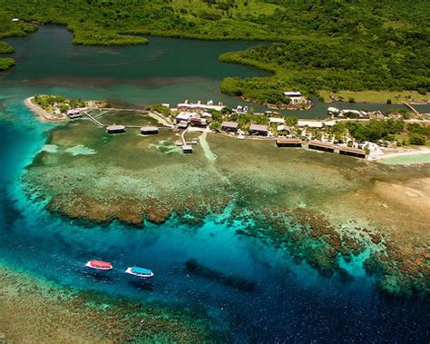 Coco View Resort Roatan: 5 Reasons Why It's a Scuba Diving Paradise