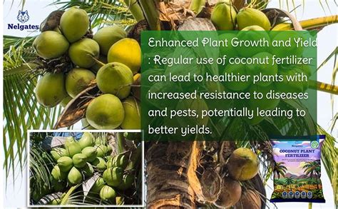 Coconut Fertilizer: Unleashing the Power of 5-in-1 Organic Enhancement