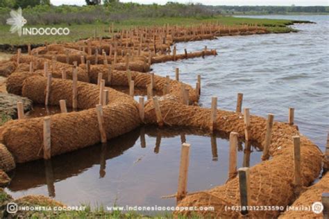 Coconut Fiber Coir Logs: A Comprehensive Guide to Their Versatile Applications