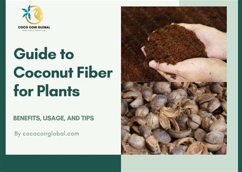 Coconut Fiber for Plants: A Comprehensive Guide to Its Benefits and Uses