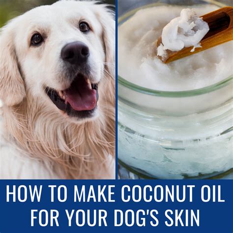 Coconut Oil For Dogs How To Use Coconut Oil For Fido Essential Oils for DogsEssential Oils for BeginnersCoconut Oil for DogsNatural Remedies for DogsHolistic Healing for Dogs Book 2 Kindle Editon