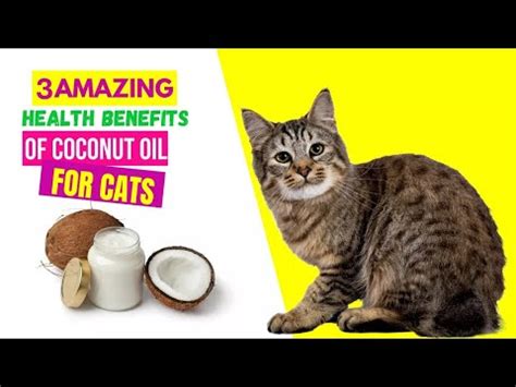 Coconut Oil for Cats: A Comprehensive Guide to Its Benefits and Uses