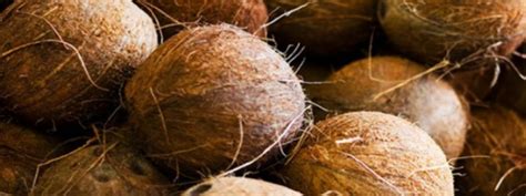 Coconut Price is on the Rise: What You Need to Know