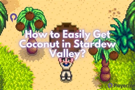 Coconut Stardew Valley: The Ultimate Guide to Finding and Using Them