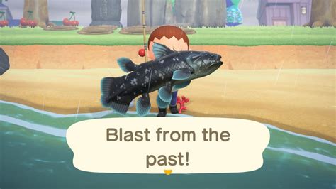 Coelacanth Animal Crossing: A Comprehensive Guide