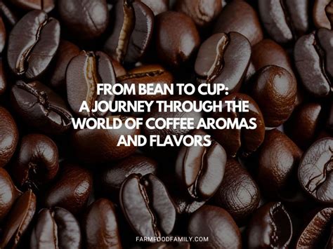 Coffee Bean Menu: A World of Aromas and Flavors