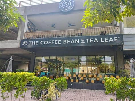 Coffee Bean vs. Tea Leaf: The Battle for 2025 Dominance