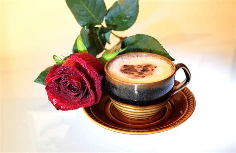 Coffee and a Rose Doc