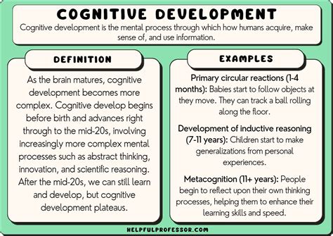 Cognitive Development: A Comprehensive Guide for Learning Centers