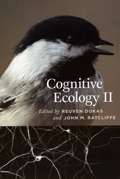 Cognitive Ecology II Kindle Editon