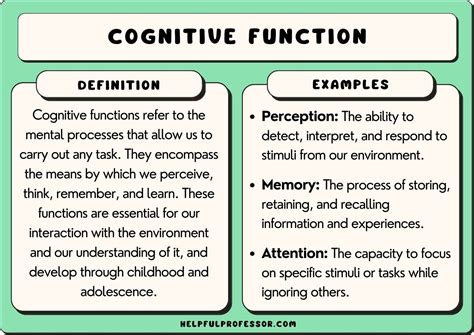 Cognitive Function: